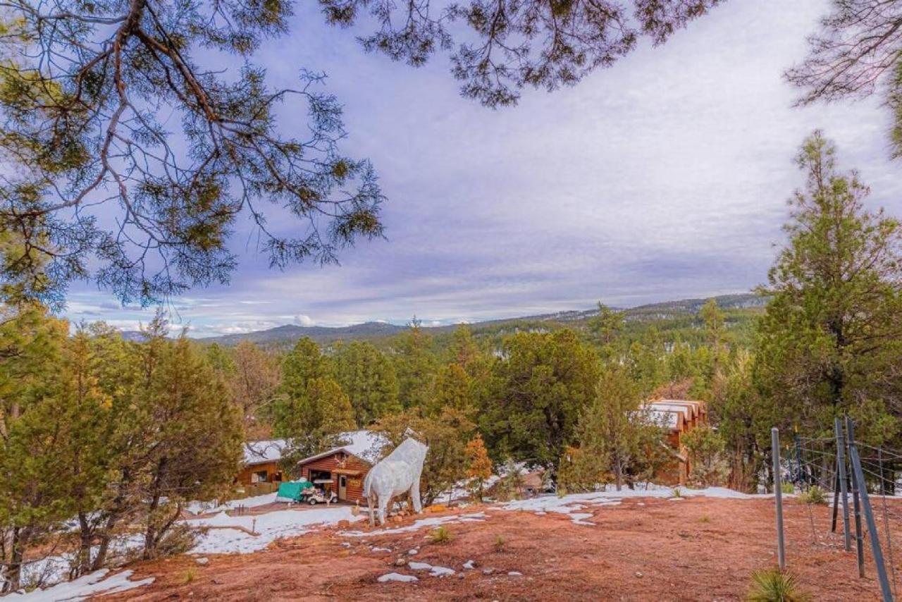 Cabin #3 Rainbow Trout - Pet Friendly- Sleeps 6 - Playground & Game Room 패이슨 외부 사진